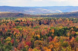 Follaje otoñal visto desde la montaña Hogback, en Vermont