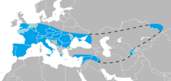 Área de distribución máxima de los neandertales