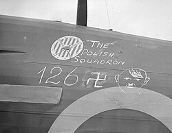 Escuadrón polaco 303