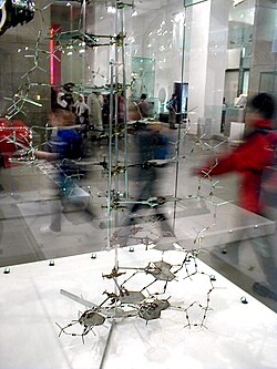 Modelo físico tridimensional del ADN