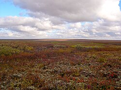 Paisaje de la tundra siberiana