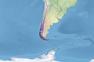 Mapa de ubicación del bosque andino patagónico