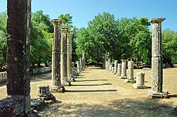Palestra de Olimpia