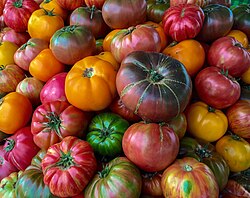 Variedad de tomates Heirloom