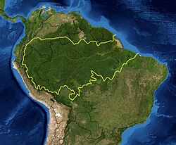 Ecorregión de la Selva Amazónica en Sudamérica