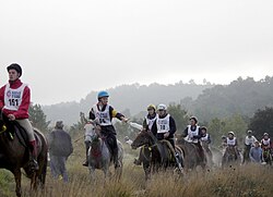 Enduro ecuestre