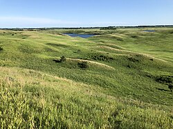 Las Grandes Llanuras vistas en la pradera alta de Minnesota