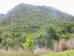 Cerrado en Pirenópolis (Goiás).