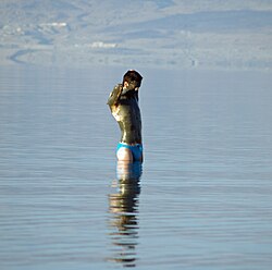 Agua y barro del Mar Muerto