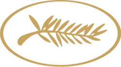 Representación gráfica y datos de la Palma de Oro