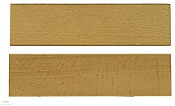 Madera de haya