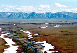 Tundra abierta en Alaska con vegetación de porte bajo