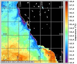 Temperatura del agua del mar en la costa de California, afectada por una surgencia oceánica.