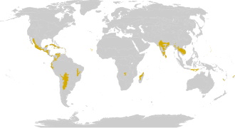 Mapa de distribución global de los bosques secos