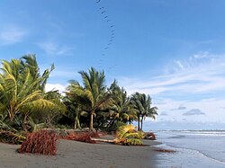 Playa de Ladrilleros en Buenaventura