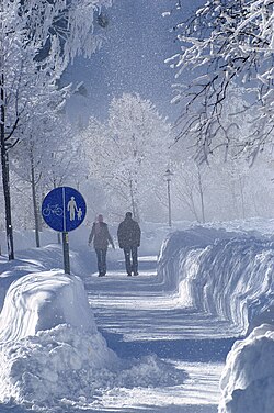 Paisaje invernal en Austria