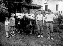 Familia trabajando en el caserío