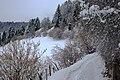 Panorama de las afueras de Bosco Chiesanuova