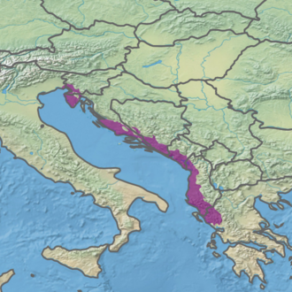 Mapa que muestra la ubicación del bosque caducifolio de Iliria