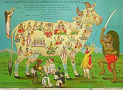 Vaca en la India
