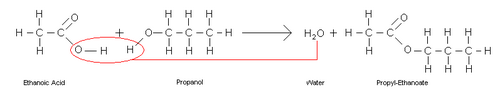Detalle molecular de la reacción de esterificación.