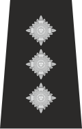 Epaulette de jefe inspector
