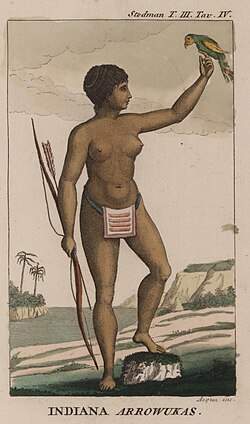 Grabado histórico de una mujer arahuaca fechado en 1818 por John Gabriel Stedman.