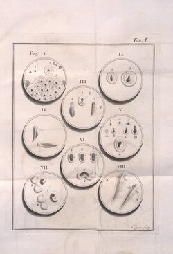 Portada de Dissertazioni di fisica animale e vegetabile publicada en 1780.
