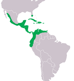 Mapa que muestra la distribución geográfica del cocodrilo americano.