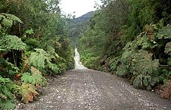 Carretera Austral al sur de Caleta Gonzalo junto al bosque valdiviano