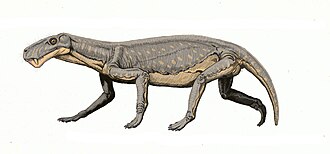 Ilustración de un Lycaenops, un gorgonópsido