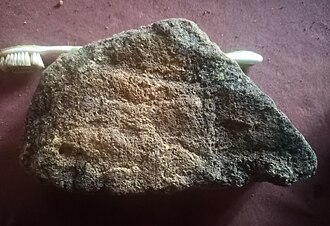 Pequeña venus grabada en piedra y figura de jabalí halladas en la zona