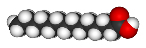 Representación tridimensional del ácido mirístico