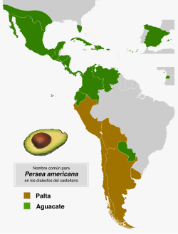 Distribución geográfica de nombres comunes