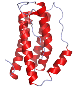 Representación tridimensional molecular de la Interleucina-6
