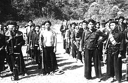 Combatientes de la guerra civil