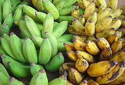 Bananas verdes y maduras en un mercado