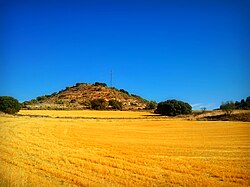 Campo de trigo en La Alcarria