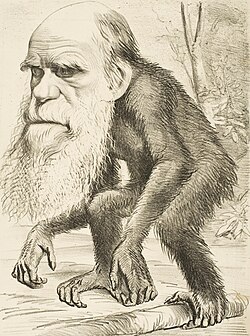 Caricatura satírica de Charles Darwin de 1871 reflejando las primeras objeciones contra la teoría de la evolución humana.
