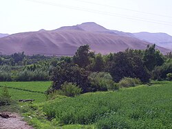 Valle agrícola en Moquegua