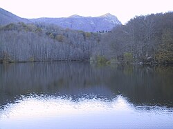 Paisaje montañoso y forestal de la comarca