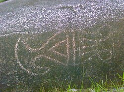 Petroglifos precolombinos