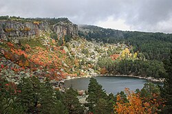 Laguna Negra de Urbión rodeada de pinares