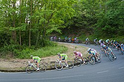 Giro de Italia