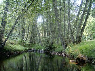 Paisaje montañoso del Parque natural de Montesinho en el nordeste portugués