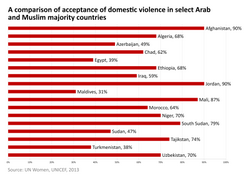 Gráfico estadístico sobre la aceptación de la violencia doméstica