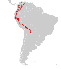Mapa detallado sobre la distribución geográfica del oso andino en Sudamérica