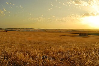 Típico paisaje manchego en la provincia de Ciudad Real