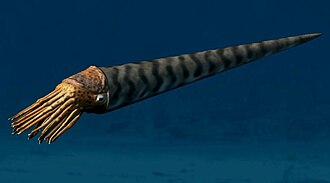 El Orthoceras con unos seis metros de largo sería el mayor depredador del Ordovícico, pero desapareció en esta extinción.