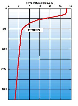 Gráfico del perfil de temperatura respecto a la profundidad oceánica